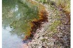 Bioremediation Services