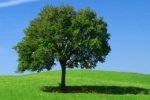 Cedrec Environmental - Legislation Made Simple