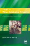 Losses in Water Distribution Networks