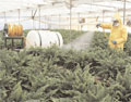 Incorporating sustainable practices into site remediation