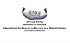 The 11th International Conference on Mercury as a Global Pollutant (ICMGP) 2013