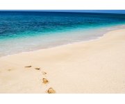 Seeding the oceans may not stop climate change
