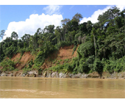 New evidence that Chevron used U.S. professors to defraud ecuador court in $18 Billion environmental lawsuit