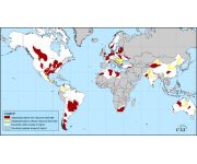 What Shale Gas in China means for the United States