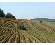 Managing GHG emissions from agriculture: a unique but solvable challenge