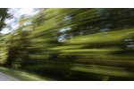 Moving Forward with Innovation - Transportation