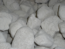 Bioscrubbers