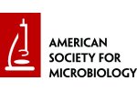 American Society for Microbiology