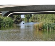 Federal Agencies Expand Urban Waterway Revitalization Efforts in Communities Across the Nation