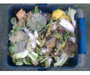 EPA and USDA Join Together To Help Americans Reduce Wasted Food