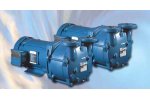 LEM - Ring Vacuum Pump