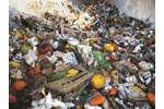 Application Report - Organic
