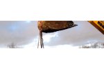Contaminated Site Management