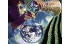 Developing Bioaugmentation cultures for Chloroethene remediation in low pH aquifers