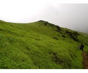 Land use can affect fresh water supplies