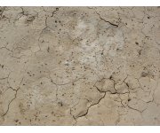 Effects of chemical fertiliser and animal manure on soil health compared