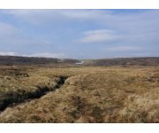 Peatlands – guidance for climate change mitigation by conservation, rehabilitation and sustainable use